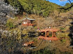 -醍醐寺