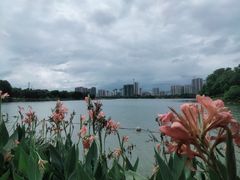 -飞来湖湿地公园