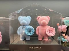 -ROSEONLY诺誓(国际广场购物中心店)