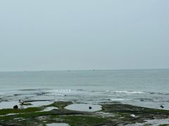 -日照灯塔风景区