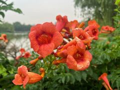 -陶然亭公园