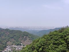 -龙井村