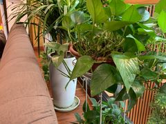 -金琴口腔·正畸种植全科(太升北路店)