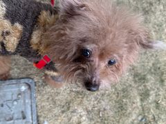 -J Create城市露营咖啡·简餐·宠物(上海动物园店)