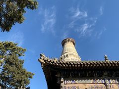 -重庆秦妈火锅(全国连锁五台山店)