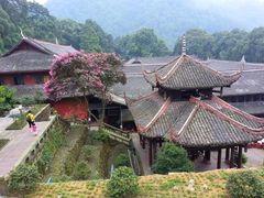 -峨眉山报国寺