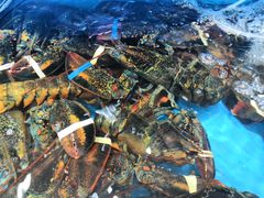 -港畔赶海蒸汽海鲜烧烤自助(仙螺岛店)