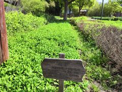 -田园东方蜜桃村的田野营地