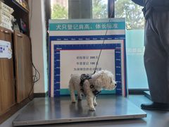-心仪动物医院·牙专科·肿瘤·心脏科(西客站院)