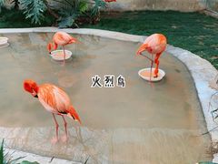 -成都动物园