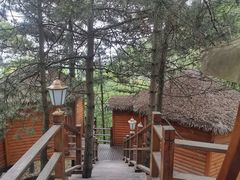-塔云山