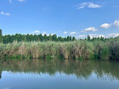 -捞渔河湿地公园