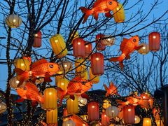 -龙湖星悦荟(颐和店)