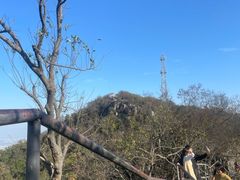 -紫金山山顶公园
