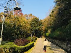 -青龙山公园