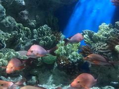 -福州罗源湾海洋世界旅游区