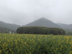 -八卦田遗址公园