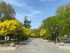 -杨柳青庄园