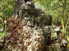 -海口火山口国家地质公园