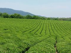 -敬亭山风景名胜区