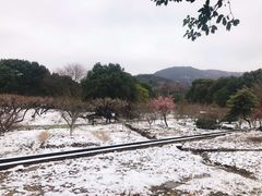 -白马涧龙池景区