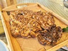虹鳟-京北渔家傲