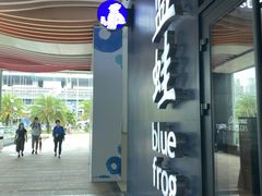 -bluefrog蓝蛙(皇庭广场店)