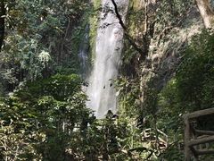 -莫里热带雨林景区