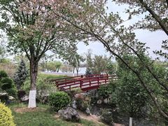 -羊山湖公园