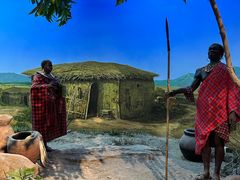 -国家自然博物馆