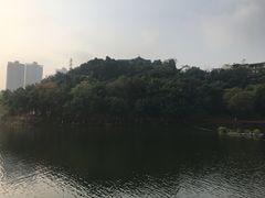-重庆彩云湖湿地公园