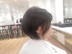 -YESIDO椰岛造型