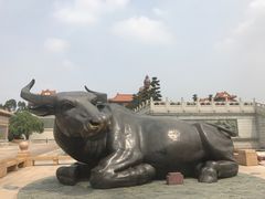 -广东圆玄道观
