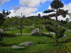-王借岗森林公园