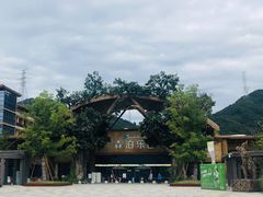 -杭州开元森泊度假乐园