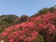-木兰云雾山