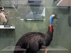 -国家自然博物馆