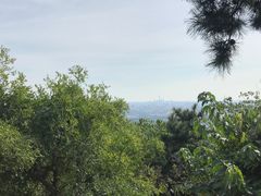 -香山公园