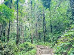 -素山寺森林公园