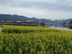 -新安江山水画廊风景区