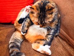 -雕刻时光·咖啡·酒吧·西餐(香山店)