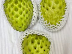 -油麻地果栏