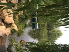 济南森林公园-济南森林公园