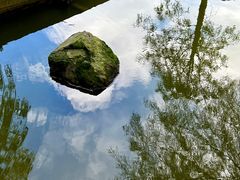 -深圳仙湖植物园