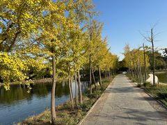 -石家庄市植物园
