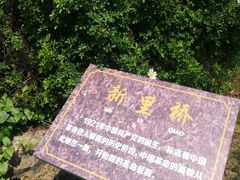 -鹅湖玫瑰文化园