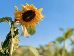 -映月湖中央公园