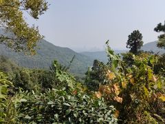 -南京老山国家森林公园