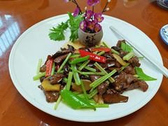 -杨记新泉美食