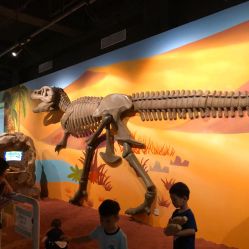 -北京科学中心儿童乐园